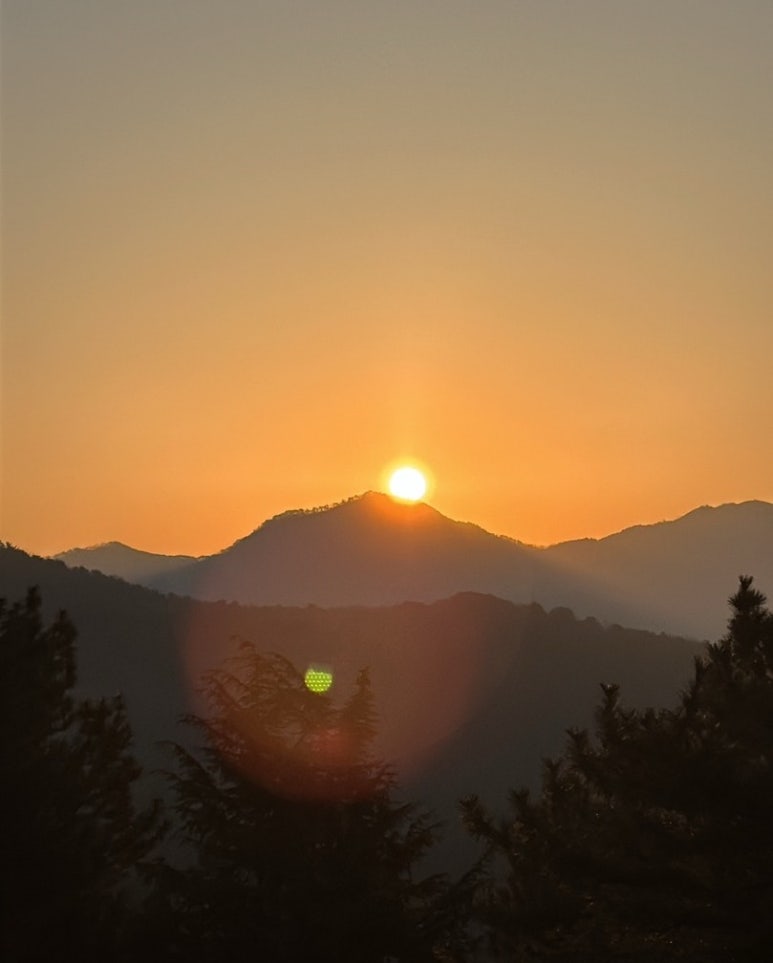 해이수산 이미지