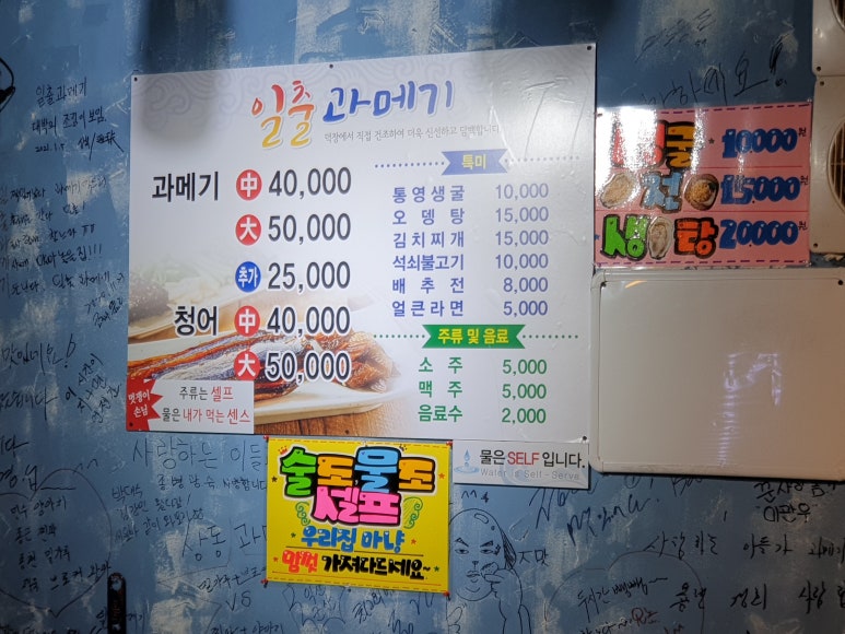 일출과메기 이미지