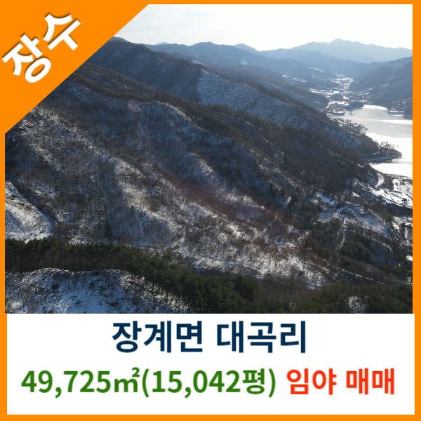 장수공인중개사사무소 이미지