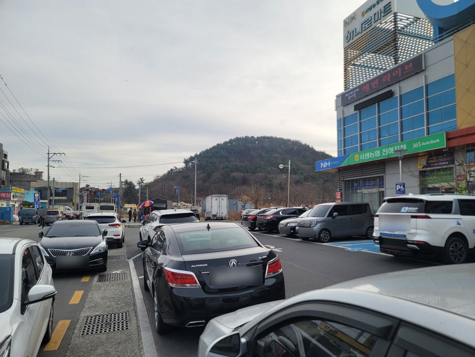 서생농협하나로마트 이미지