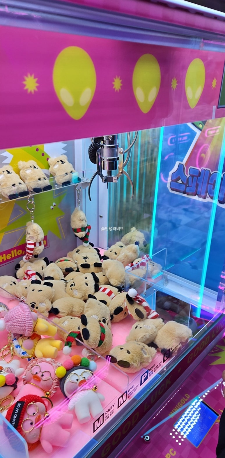 신용사진관 이미지