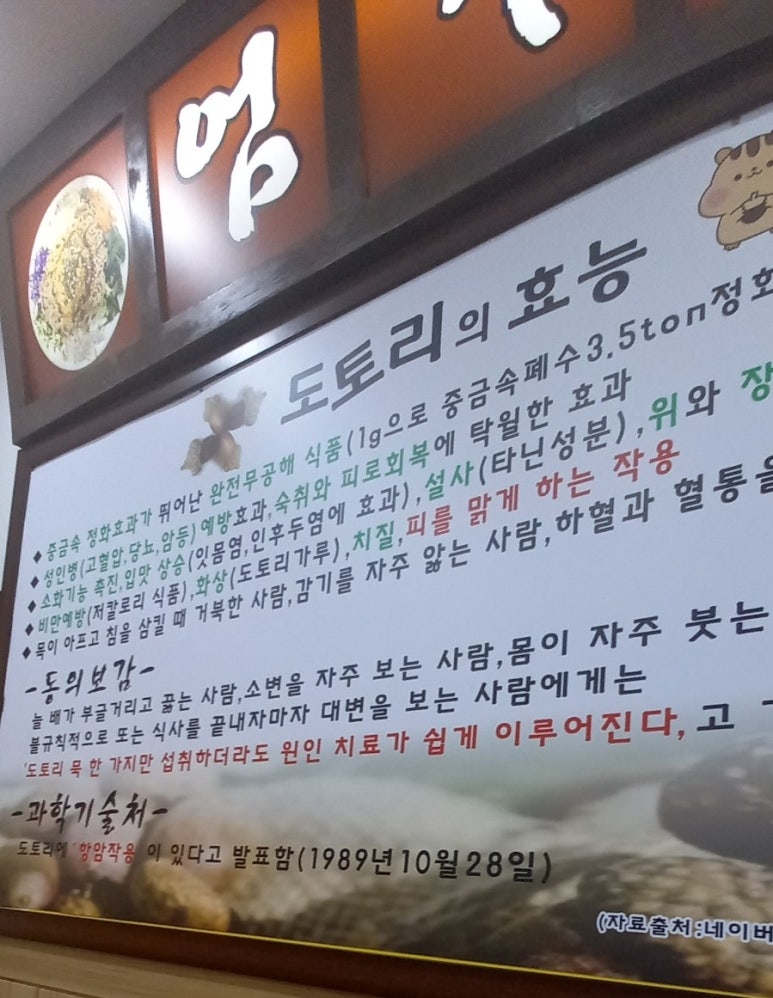 엄가네도토리 이미지