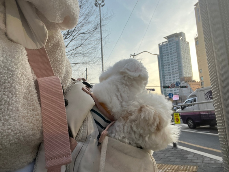 개르메스 이미지