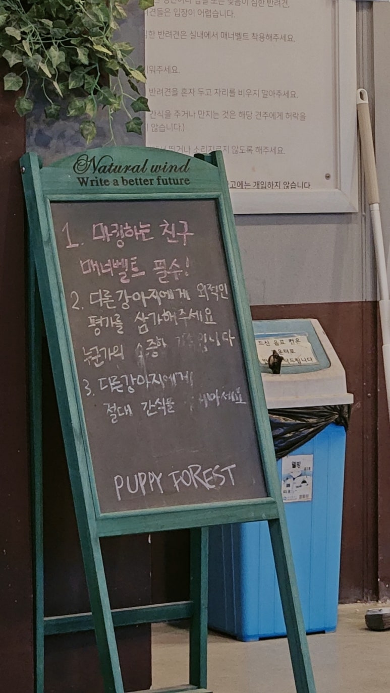 퍼피포레스트 이미지