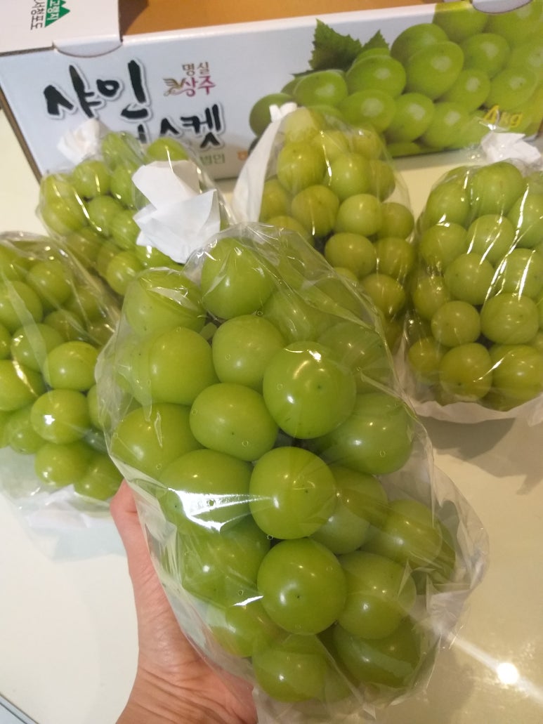 상주시조합공동사업법인 이미지