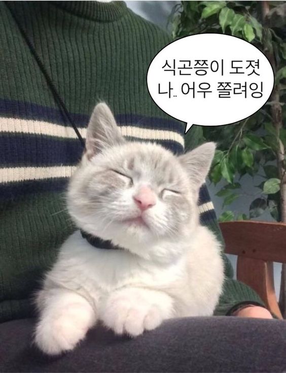 만석골한식뷔페 이미지