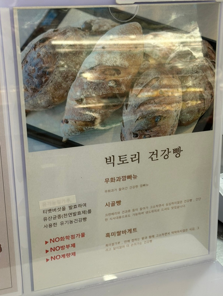 메러디스빅토리 이미지