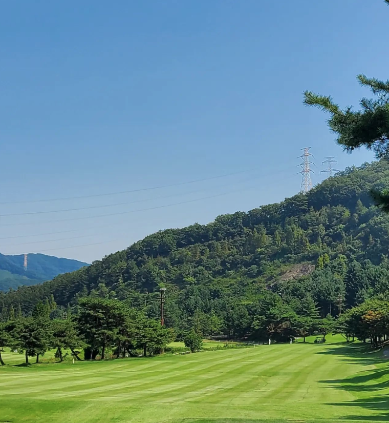 한솔회원권거래소 이미지