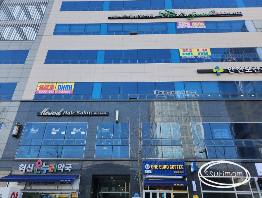 헤세드헤어 이미지