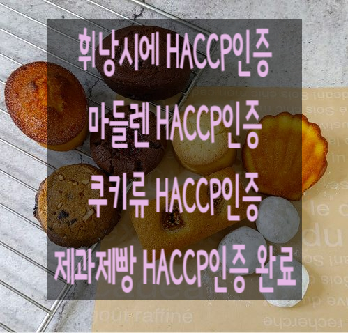 행정사사무소늘벗 이미지