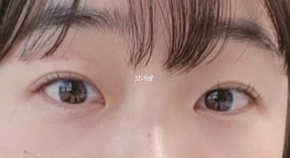 브로우올리 이미지