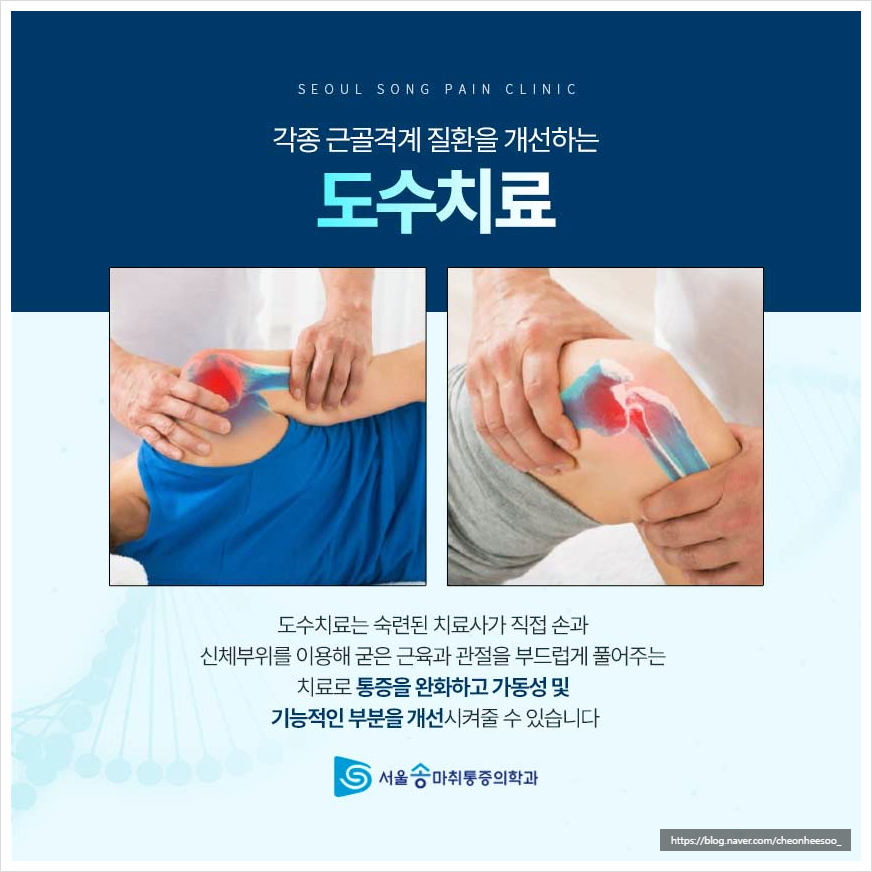 송마취통증의학과의원 이미지