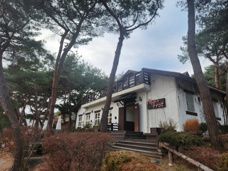 파파스브로트 이미지