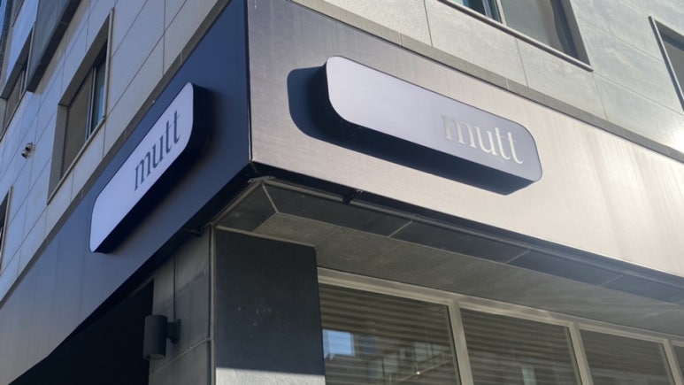 무티티(mutt) 이미지