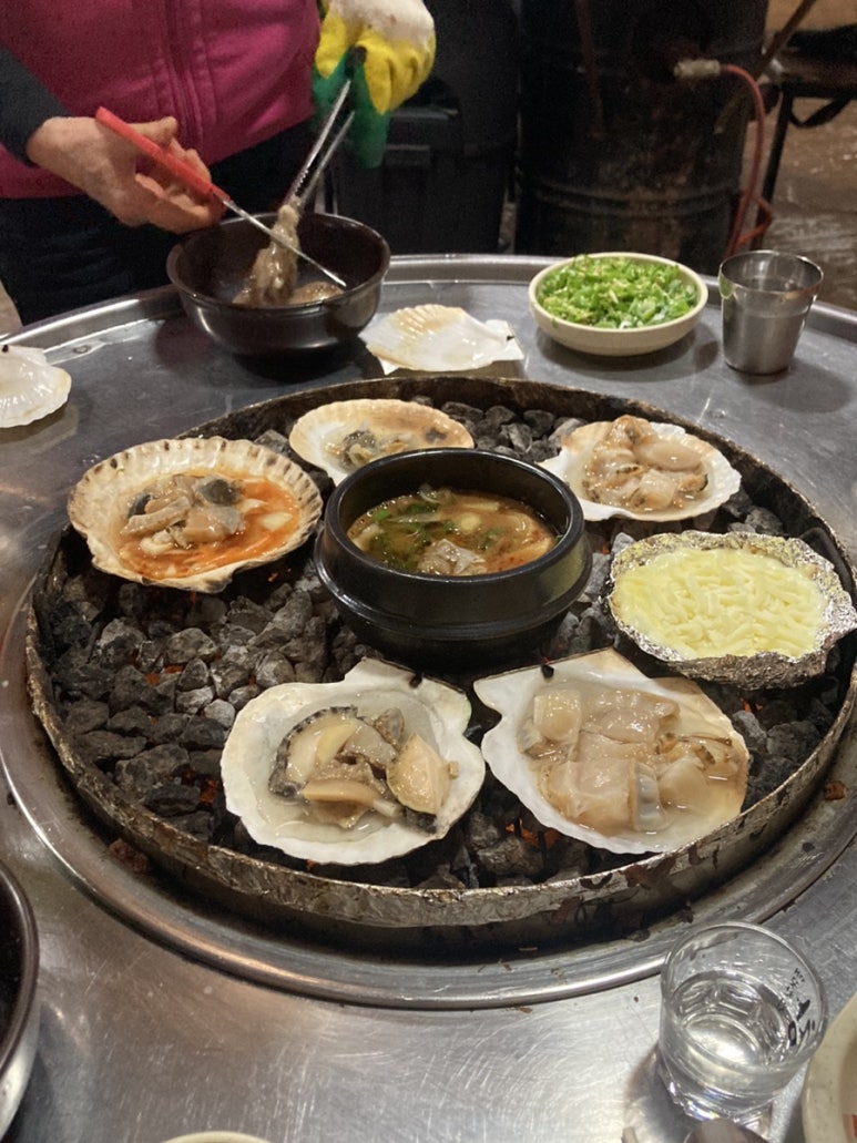 조개박사 이미지