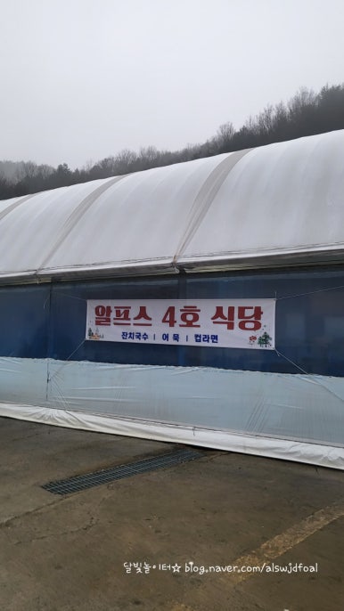알프스1호카페 이미지