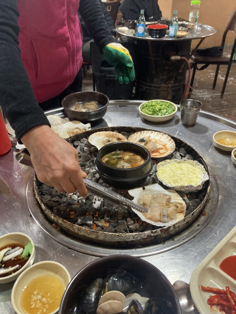 조개박사 이미지