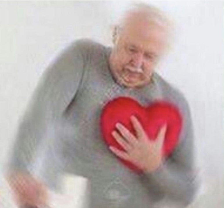 푸치케 이미지