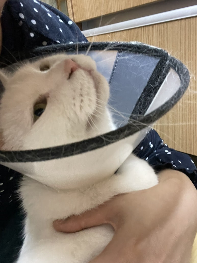 한마음정육식당천안통정점 이미지