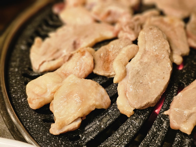 낙동생오리 이미지