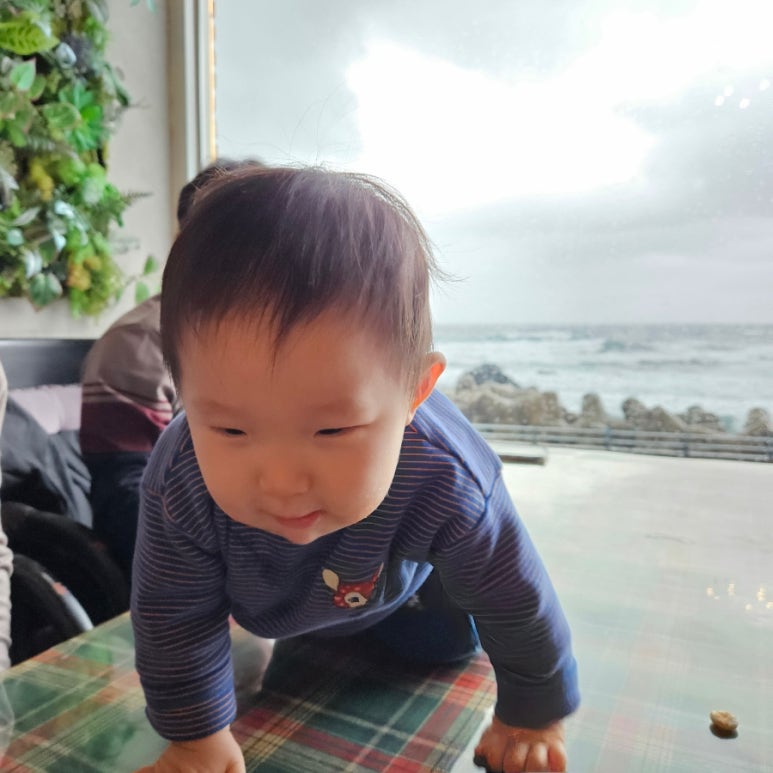다이닝하마 이미지