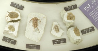 대전해피북 이미지