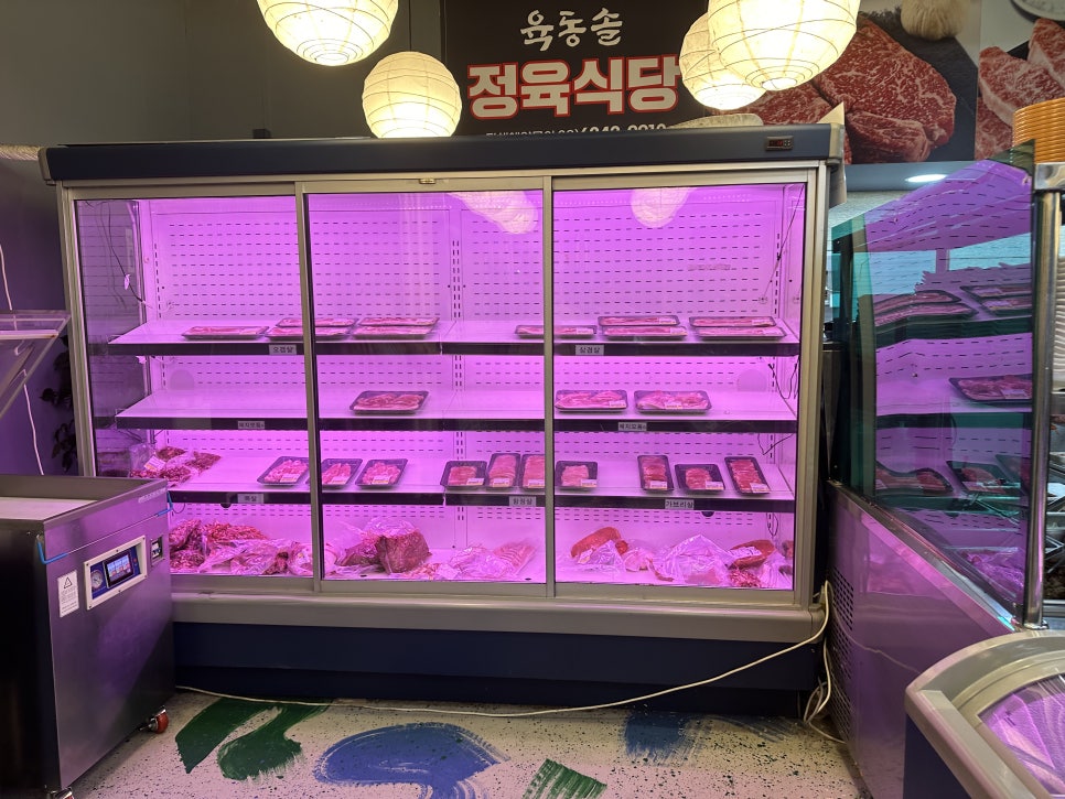 육동솔 이미지