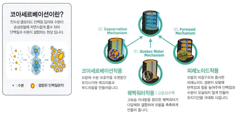 지원카클리닉 이미지
