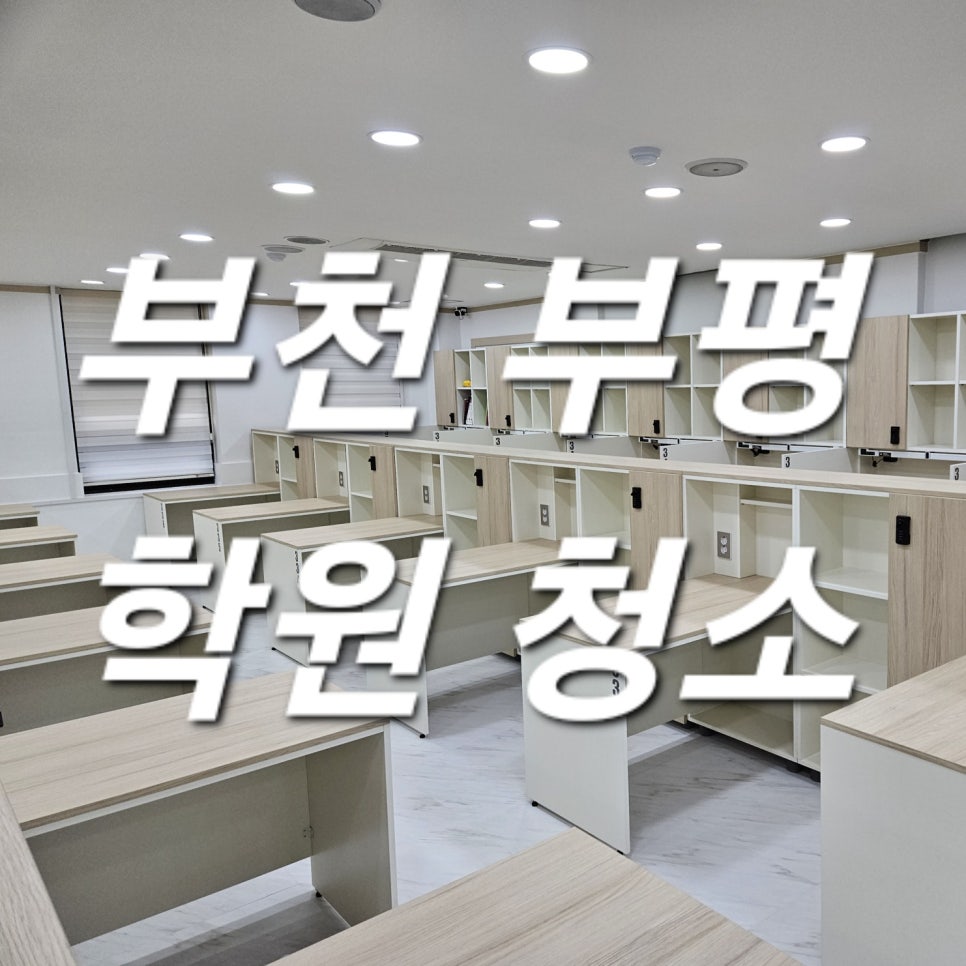 돌핀크린 이미지