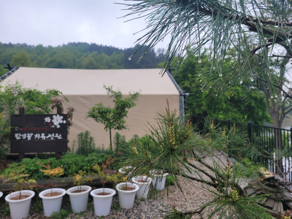 판앤팜 치유정원 이미지