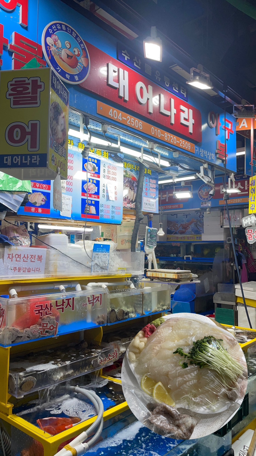 대어나라 이미지