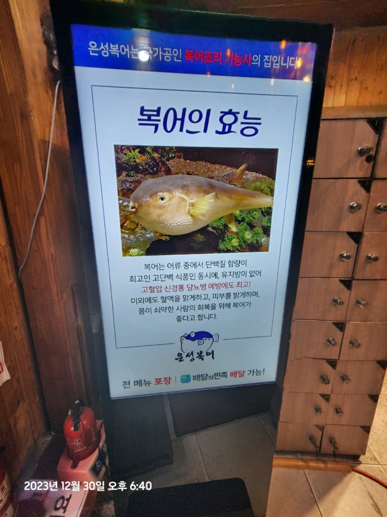 은성복어 이미지