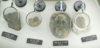 대전해피북 이미지