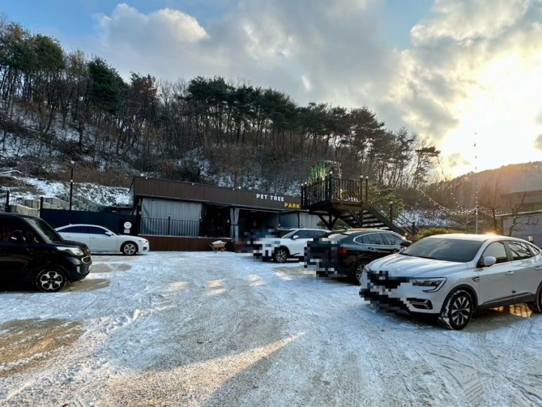 펫트리파크 이미지