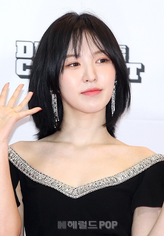 로이헤어 이미지