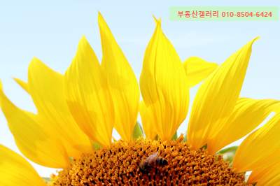 만복공인중개사사무소 이미지