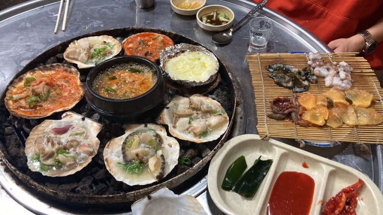 조개박사 이미지