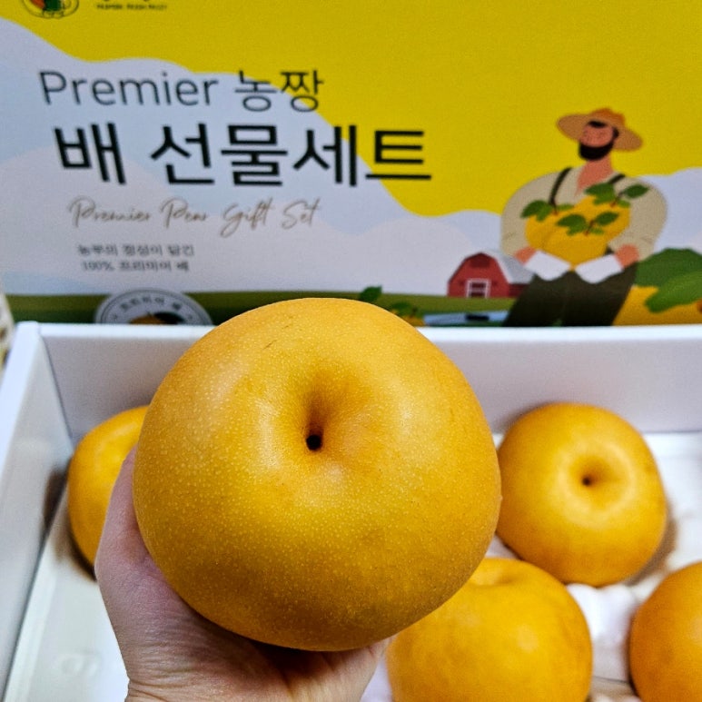 프리미어 농짱 이미지