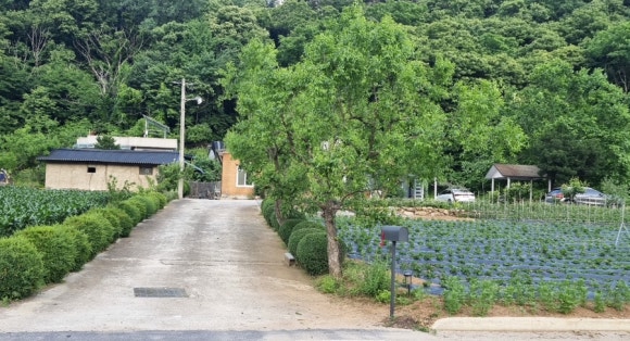 사인암472 이미지