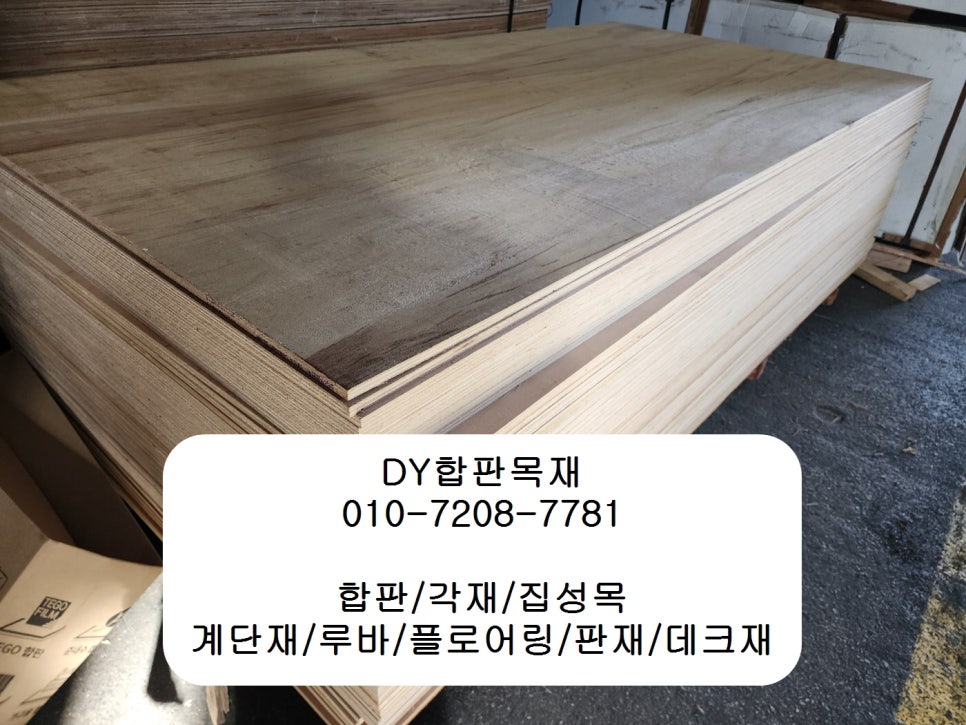 더미송 이미지