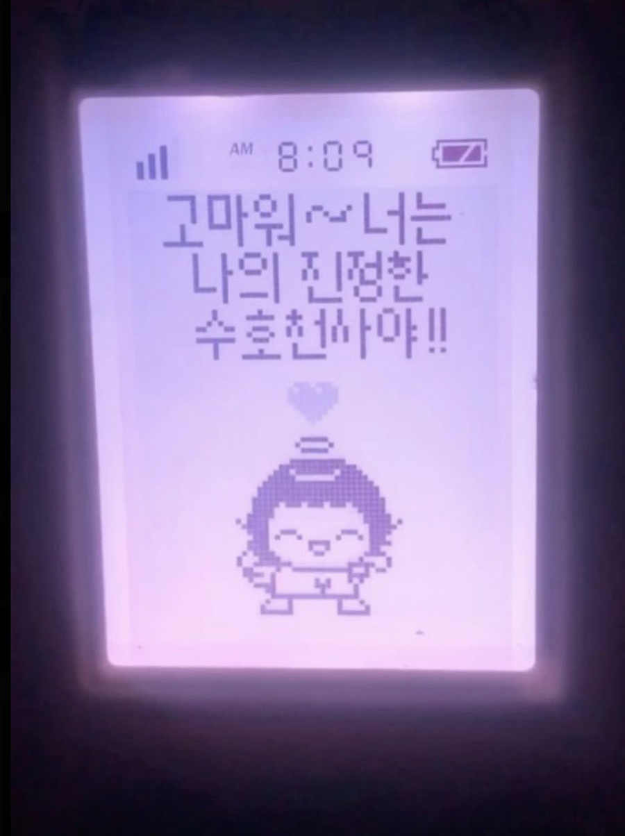 디짐 이미지