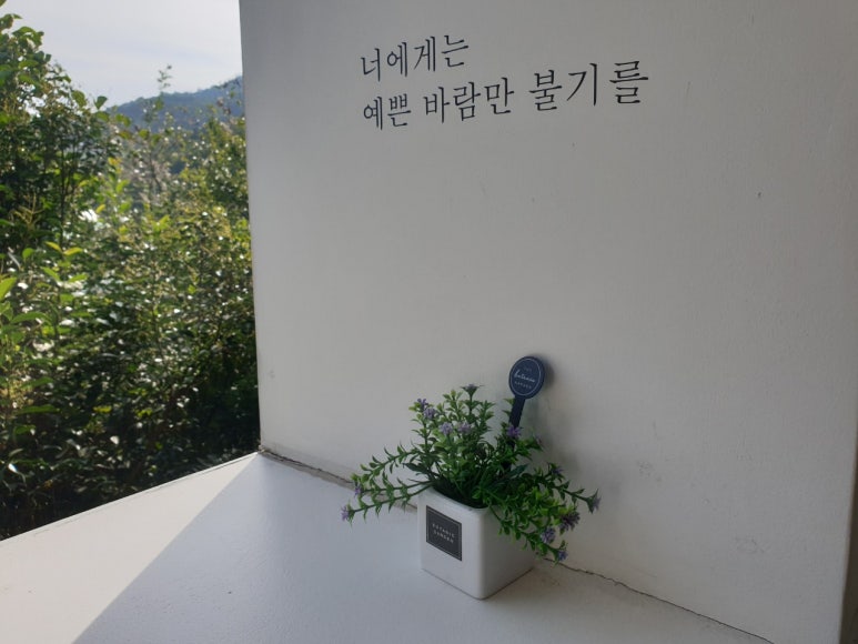 카페1004 이미지