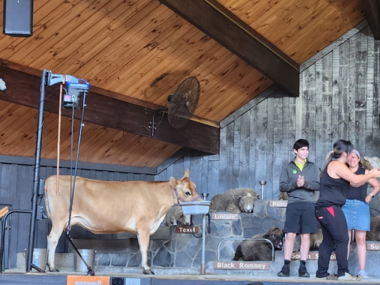 투어 팜(TOUR FARM) 이미지