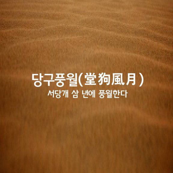 당구풍월 이미지