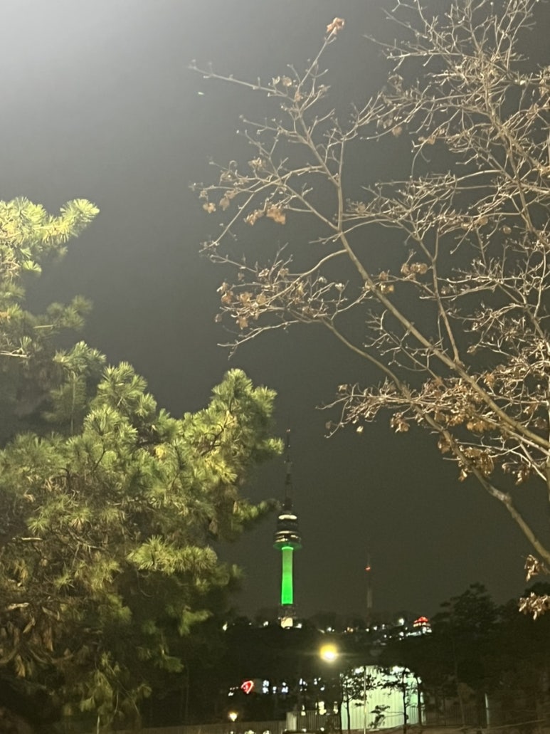 진포레스트인 이미지