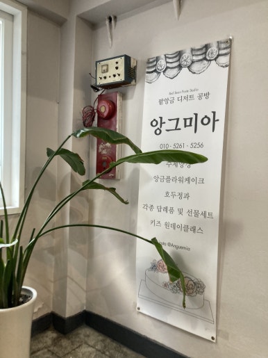 앙그미아 이미지