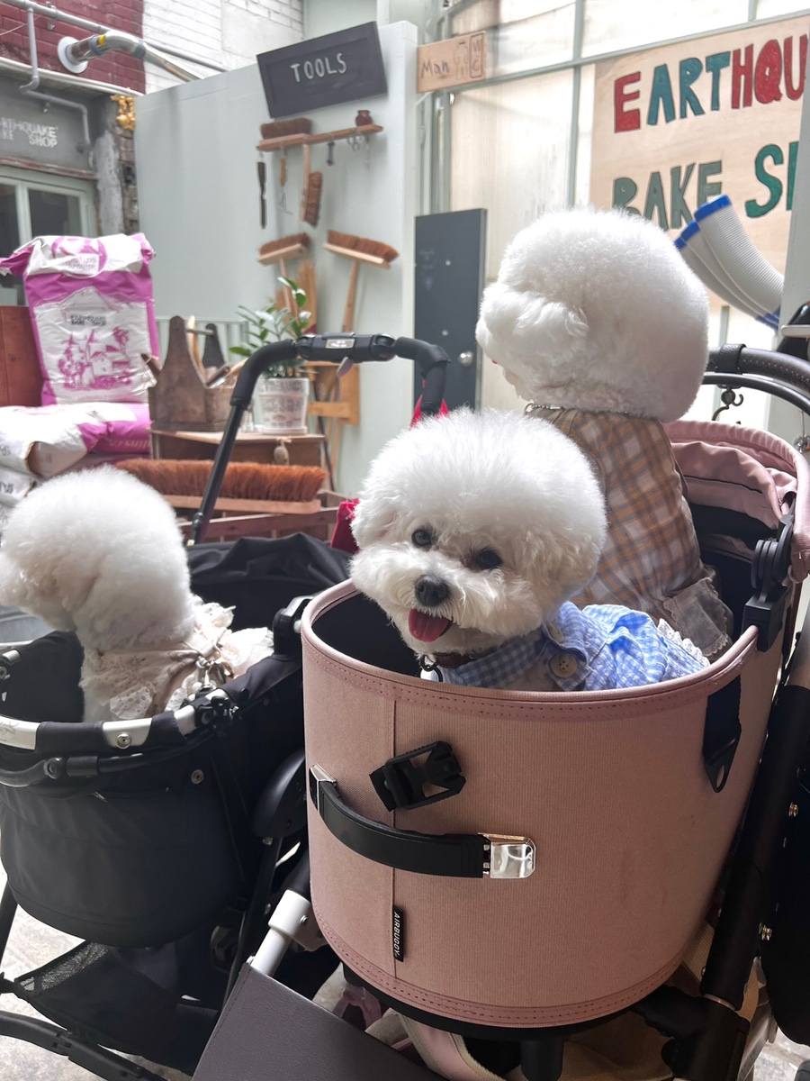 앙베이크 이미지