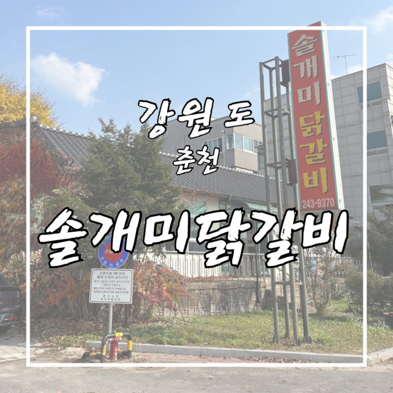 솔개미 이미지
