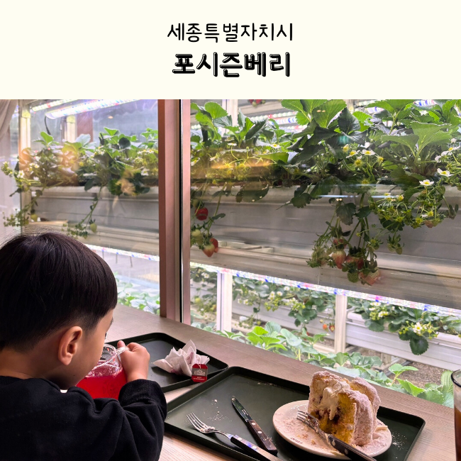 사계절앤포시즌 이미지
