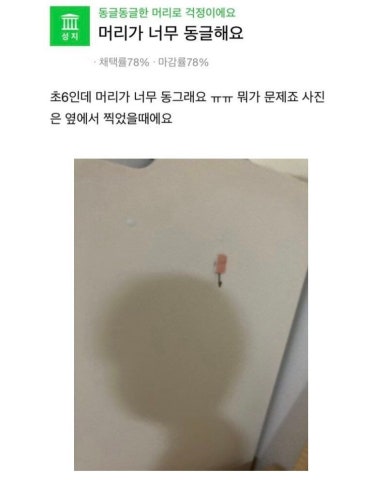 오목집 이미지